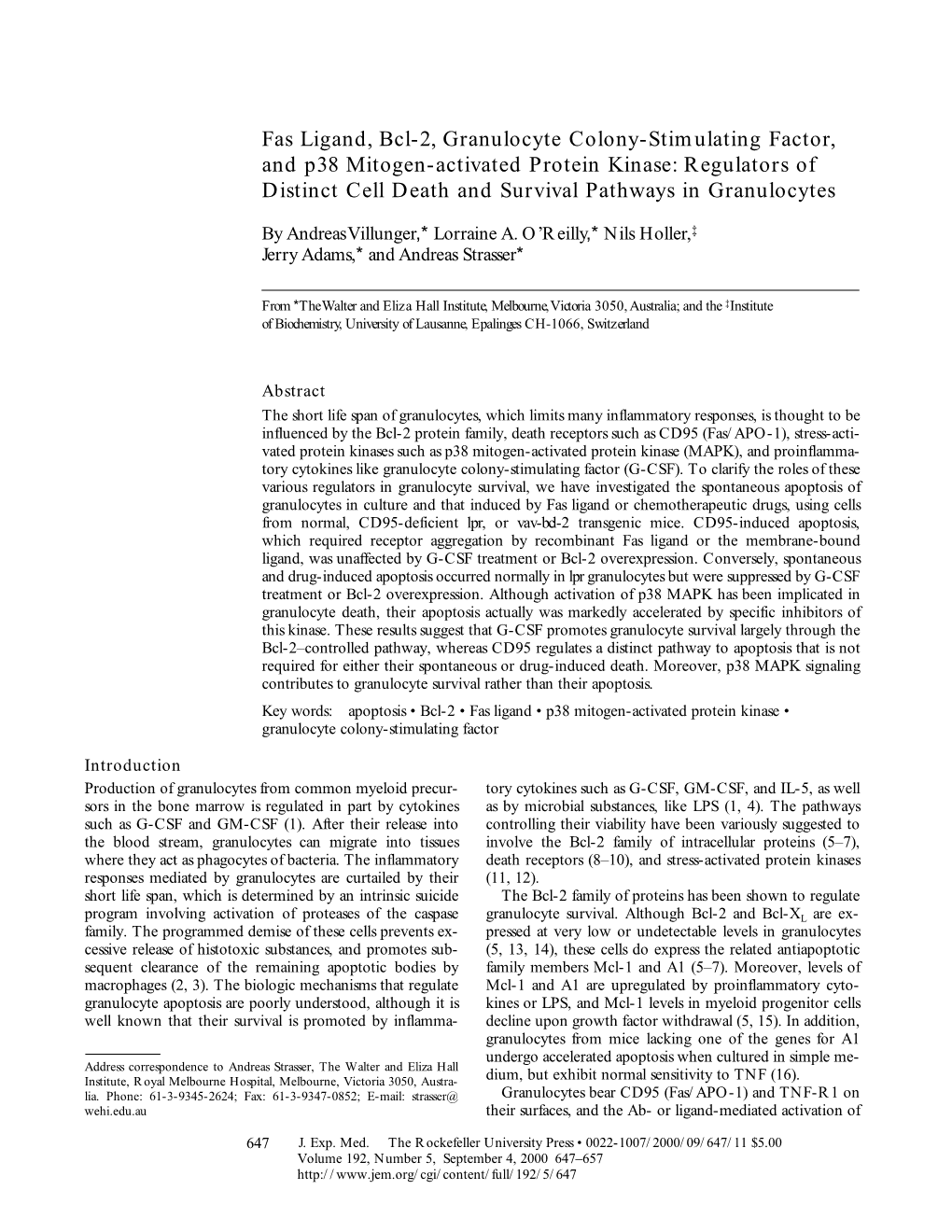 Fas Ligand, Bcl-2, Granulocyte Colony-Stimulating Factor, and P38