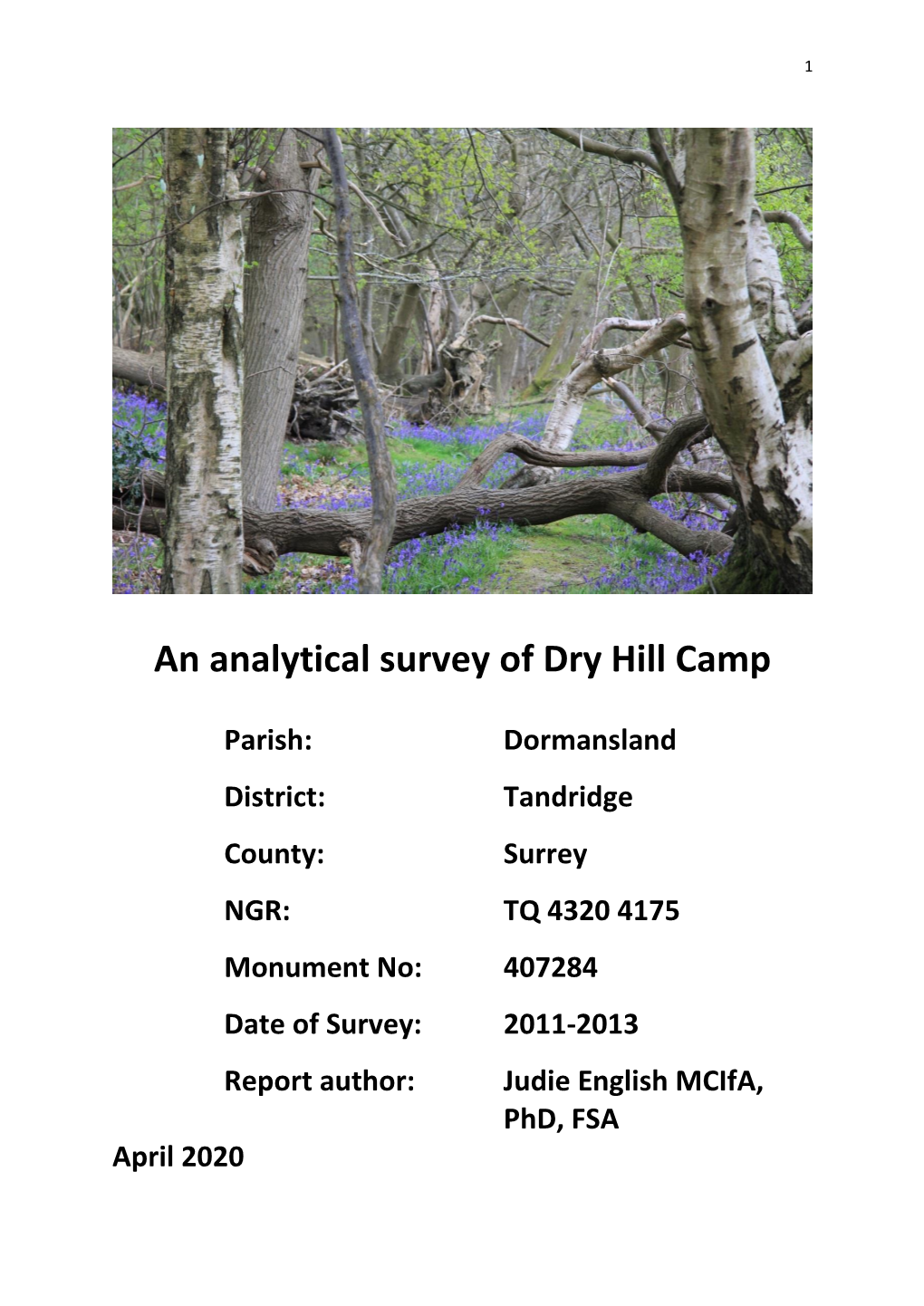 An Analytical Survey of Dry Hill Camp