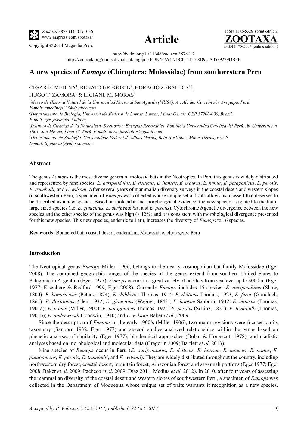 A New Species of Eumops (Chiroptera: Molossidae) from Southwestern Peru