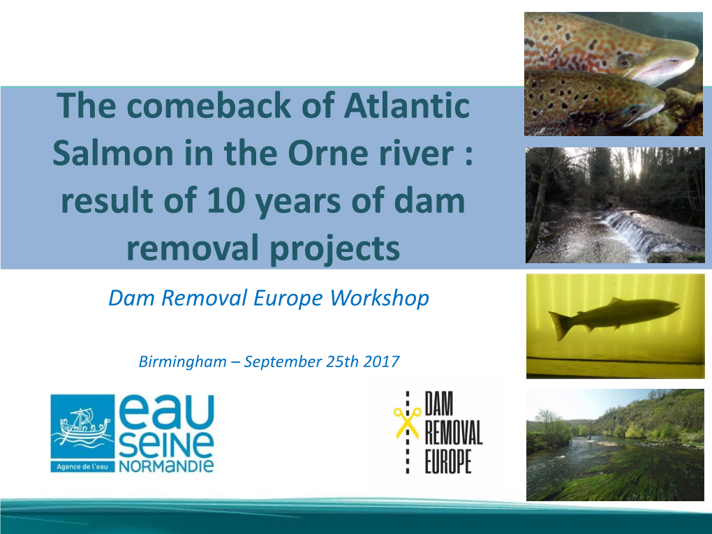 The Comeback of Atlantic Salmon in the Orne River : Result of 10 Years of Dam Removal Projects Dam Removal Europe Workshop