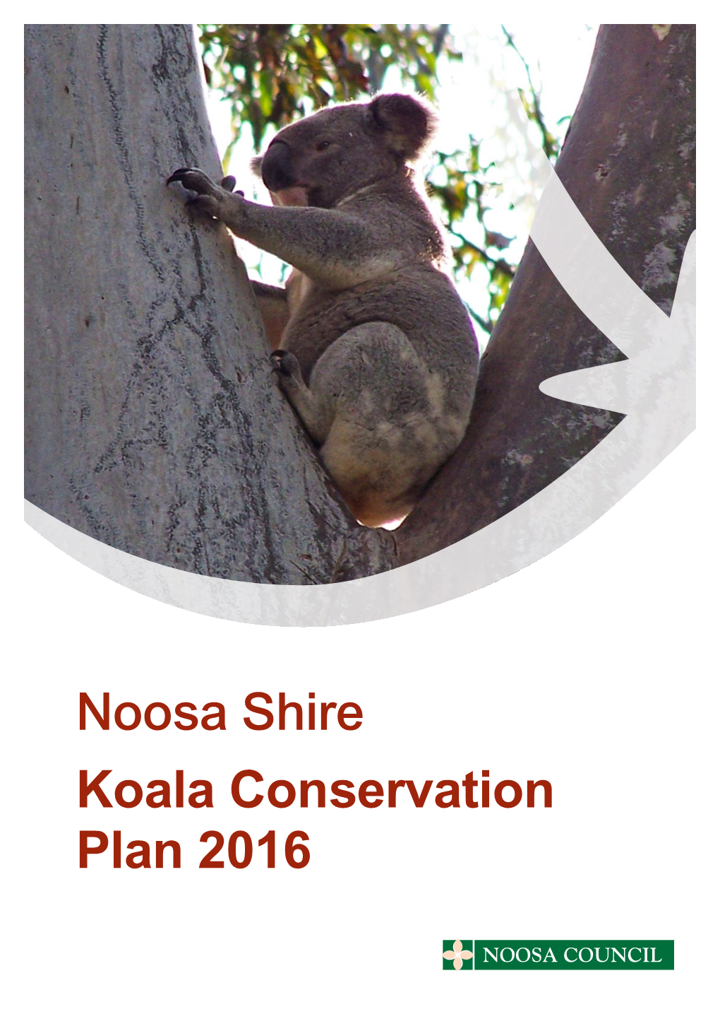 Koala Conservation Plan 2016