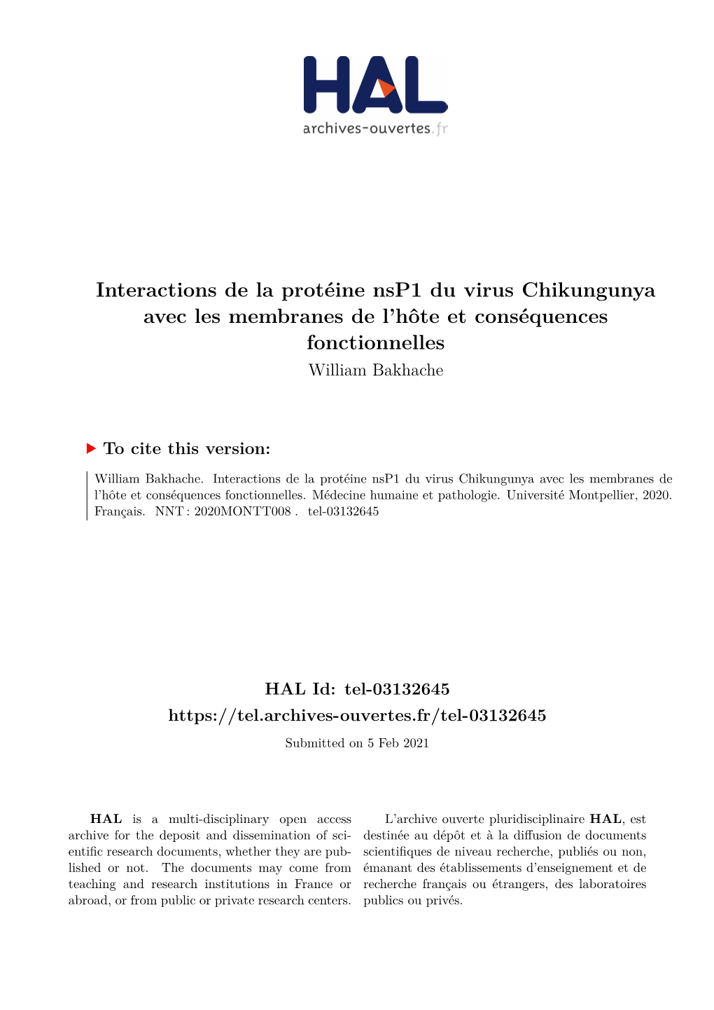 Interactions De La Protéine Nsp1 Du Virus Chikungunya Avec Les Membranes De L’Hôte Et Conséquences Fonctionnelles William Bakhache