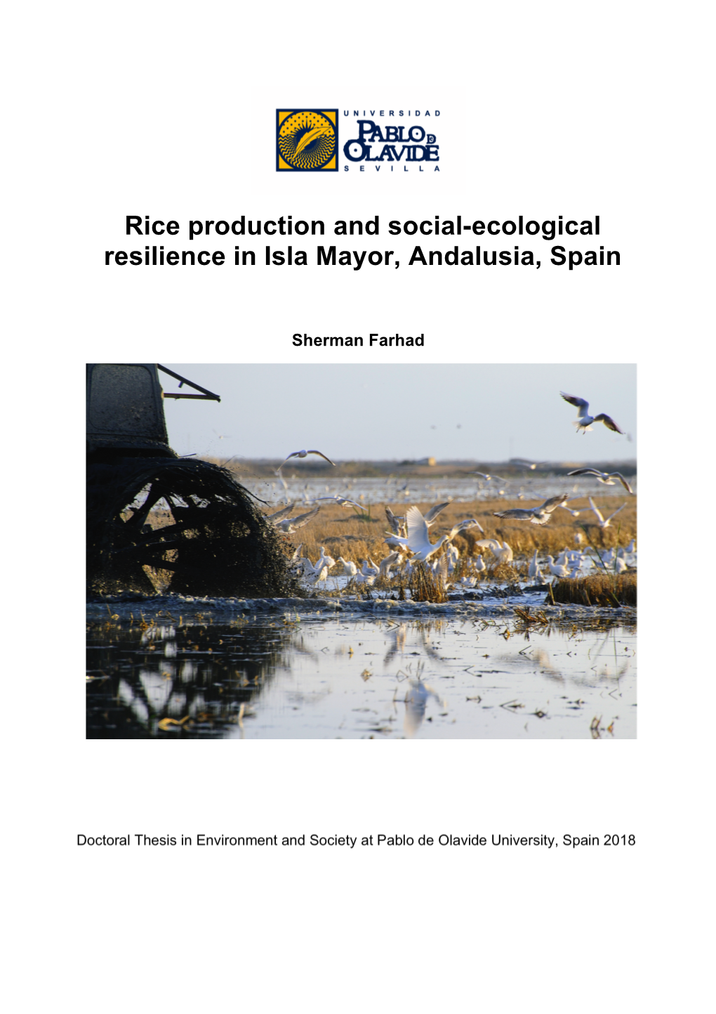 Rice Production and Social-Ecological Resilience in Isla Mayor, Andalusia, Spain