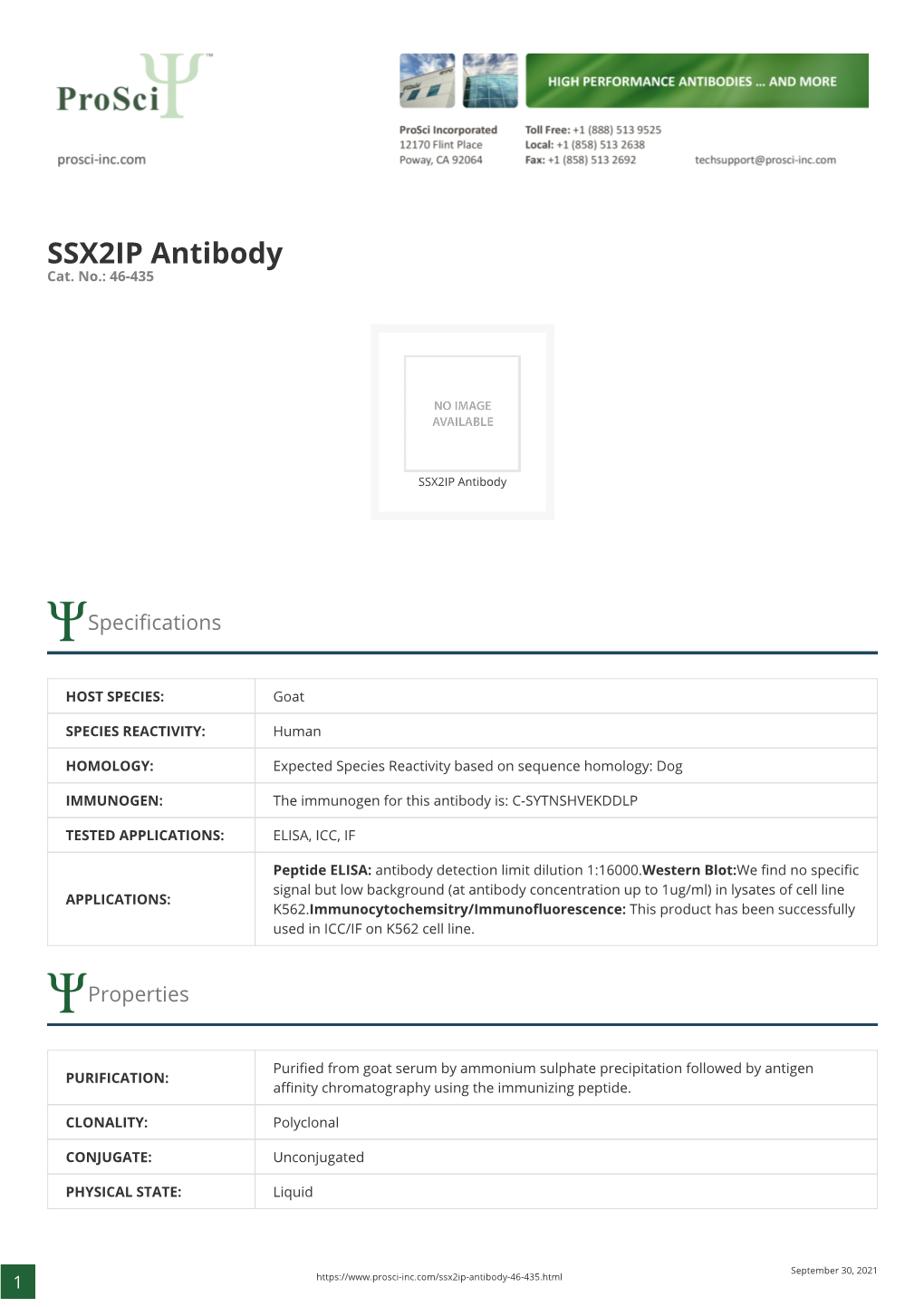 SSX2IP Antibody Cat