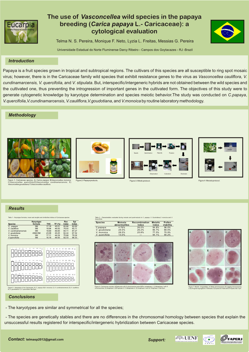 The Use of Vasconcellea Wild Species in the Papaya Breeding (Carica Papaya L.- Caricaceae): a Cytological Evaluation