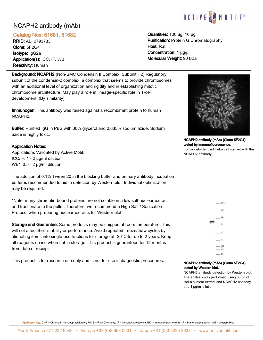 Active Motif Technical Data Sheet (TDS)