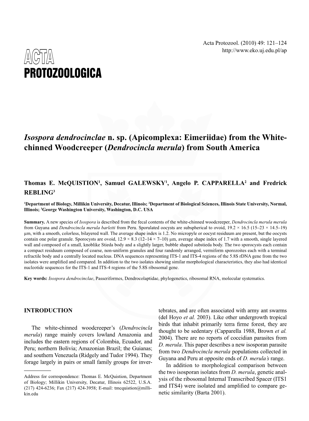 Isospora Dendrocinclae N. Sp.(Apicomplexa: Eimeriidae) From