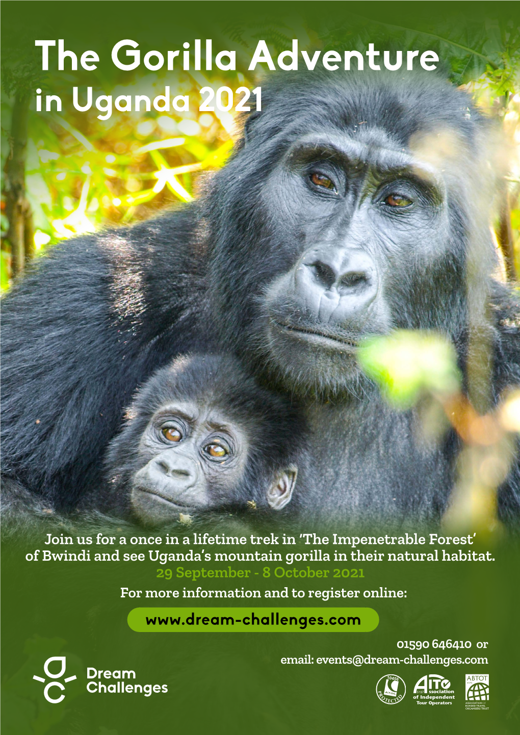 The Gorilla Adventure in Uganda 2021