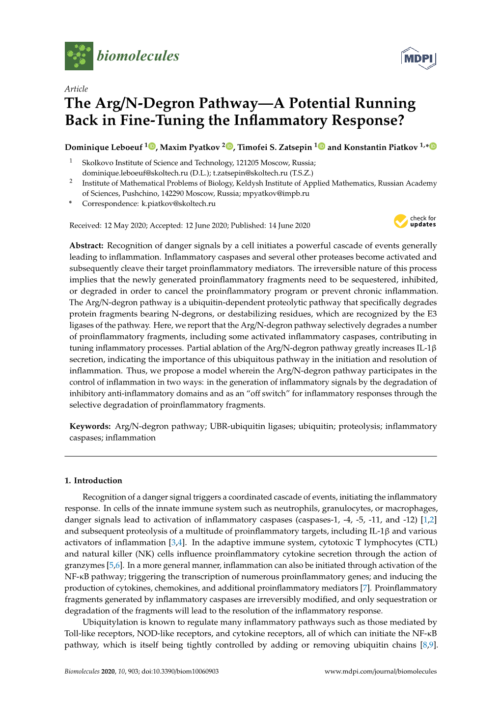 The Arg/N-Degron Pathway—A Potential Running Back in Fine-Tuning the Inflammatory Response?