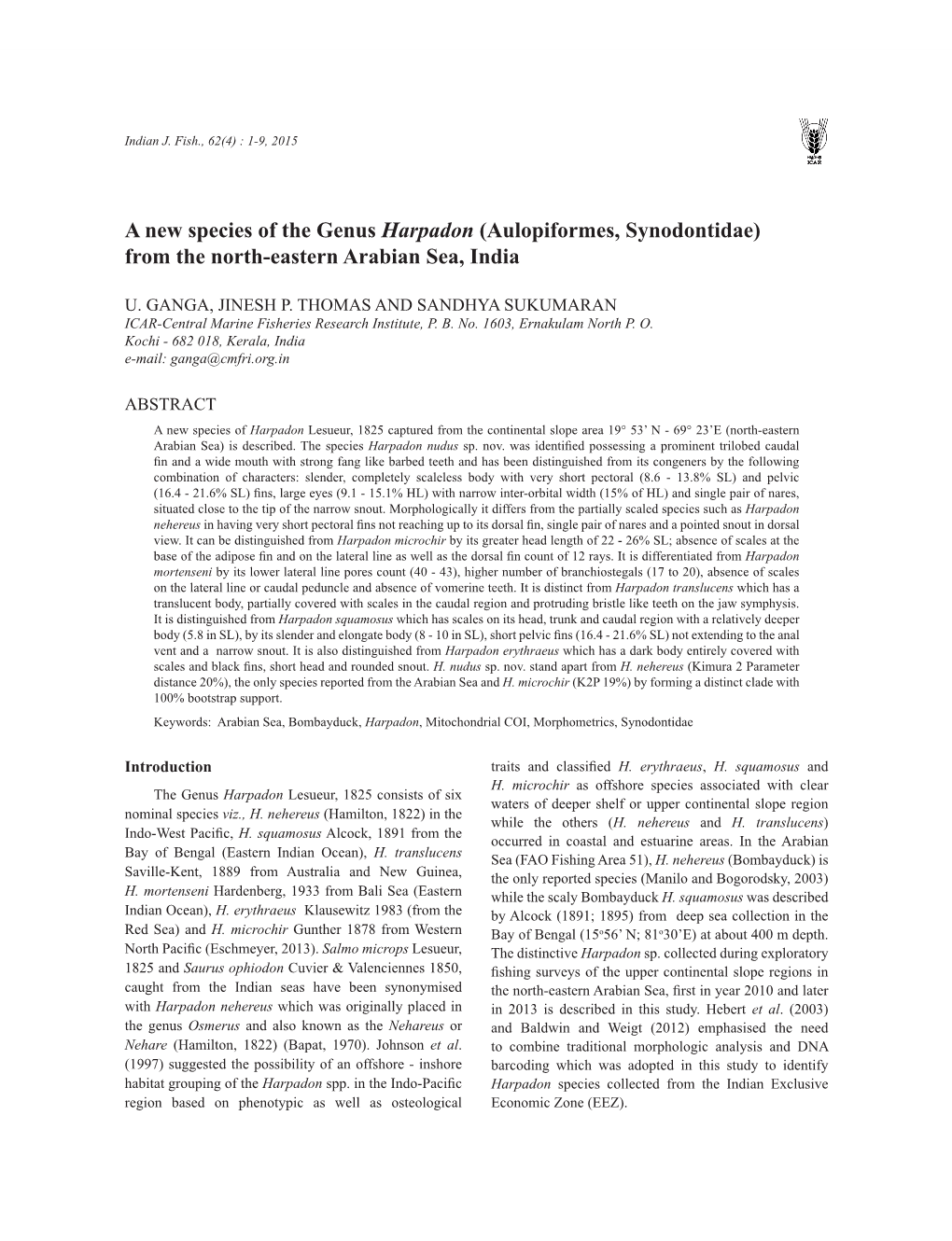 A New Species of the Genus Harpadon (Aulopiformes, Synodontidae) from the North-Eastern Arabian Sea, India