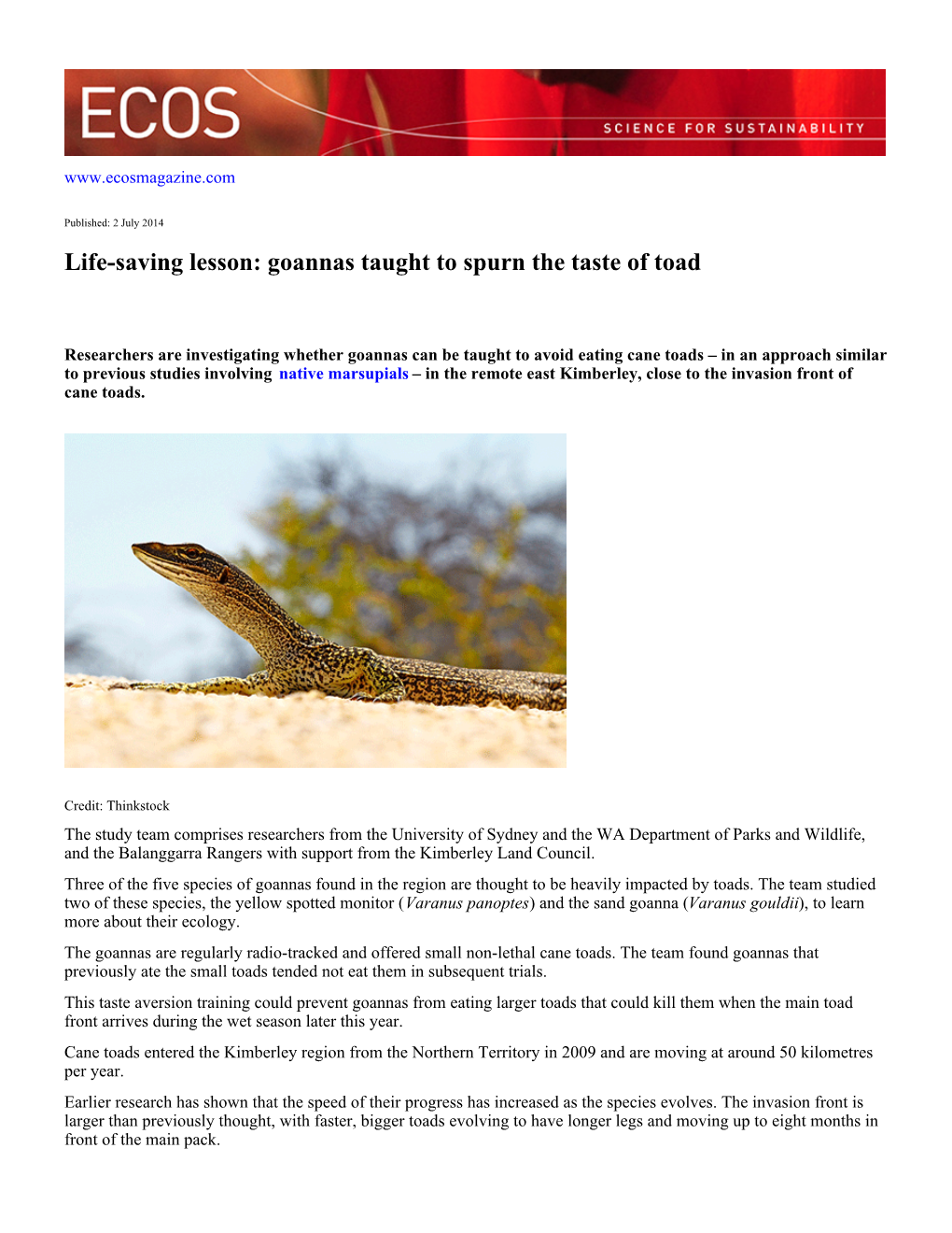 Life-Saving Lesson: Goannas Taught to Spurn the Taste of Toad