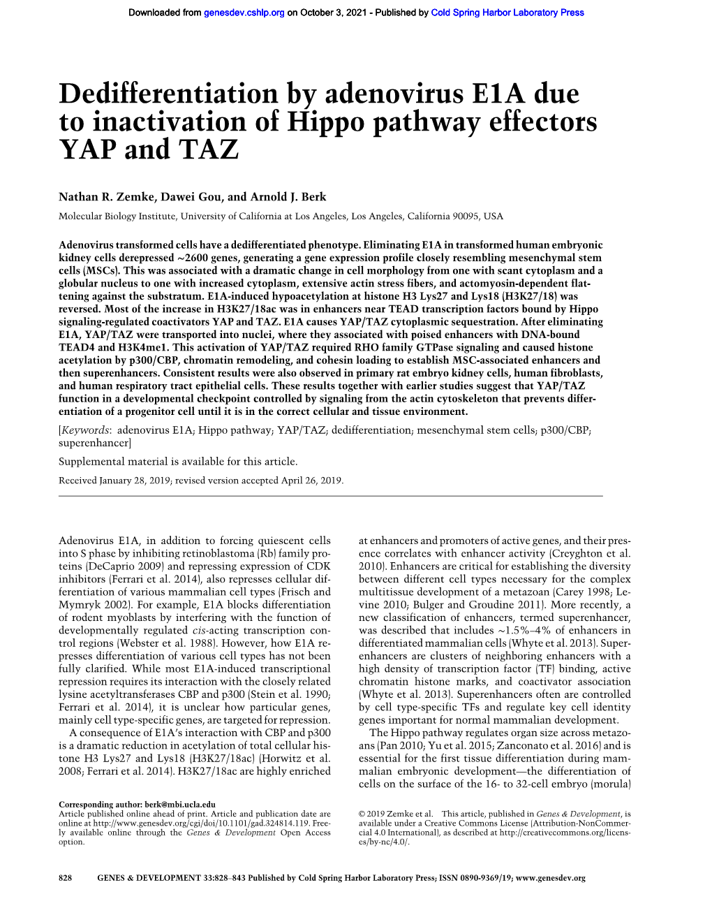 Dedifferentiation by Adenovirus E1A Due to Inactivation of Hippo Pathway Effectors YAP and TAZ