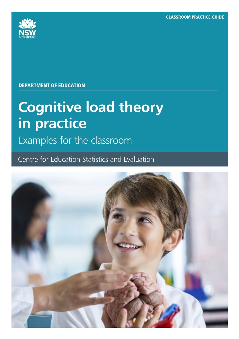 Cognitive Load Theory in Practice Examples for the Classroom More Information