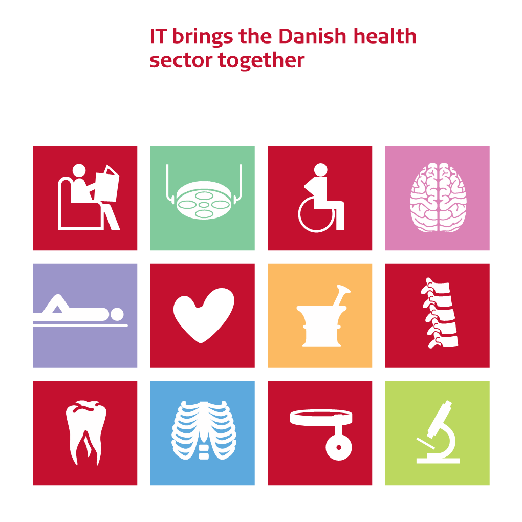 IT Brings the Danish Health Sector Together (Pdf)