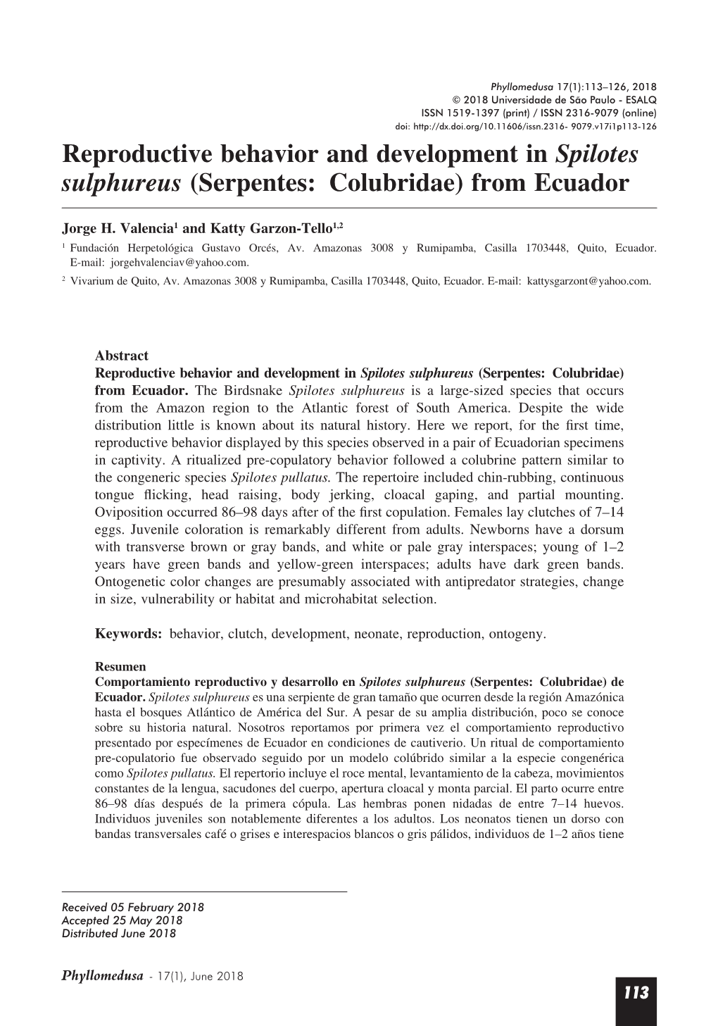 Reproductive Behavior and Development in Spilotes Sulphureus (Serpentes: Colubridae) from Ecuador