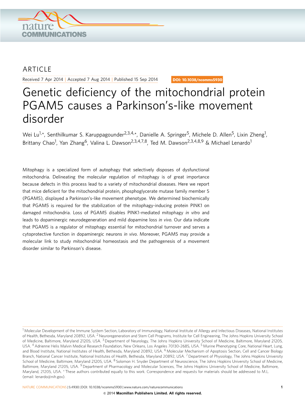 S-Like Movement Disorder