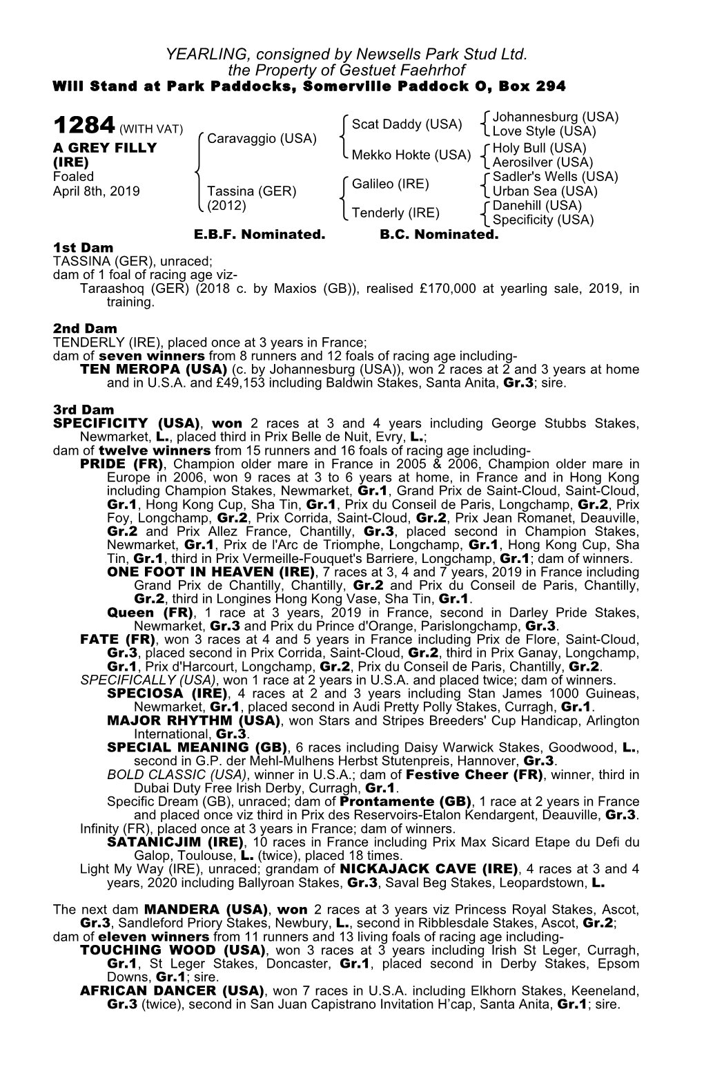 YEARLING, Consigned by Newsells Park Stud Ltd. the Property of Gestuet Faehrhof Will Stand at Park Paddocks, Somerville Paddock O, Box 294