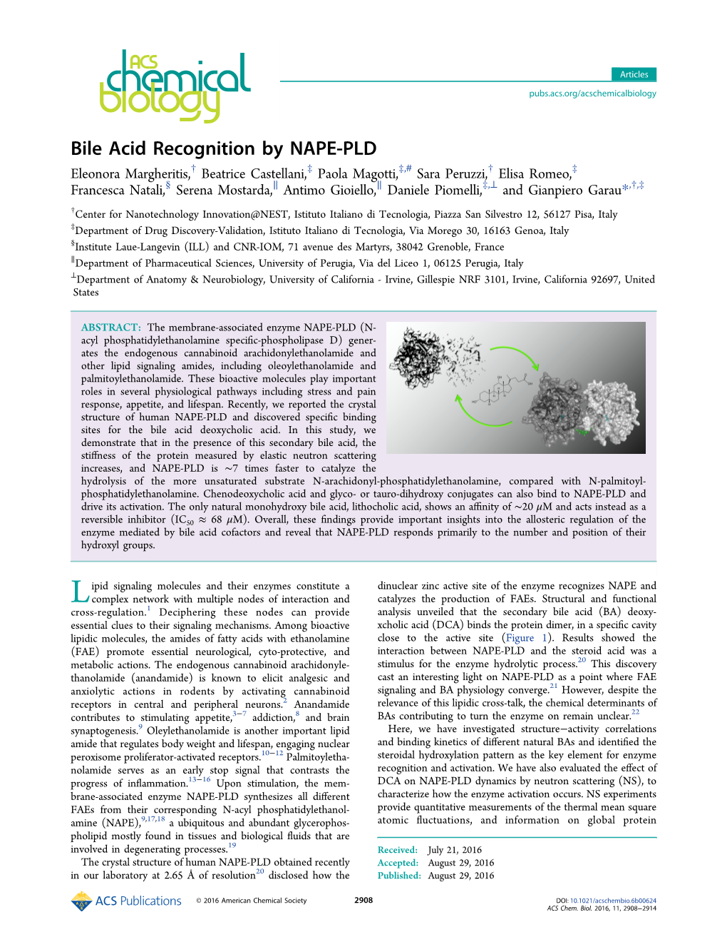 Bile Acid Recognition by NAPE-PLD