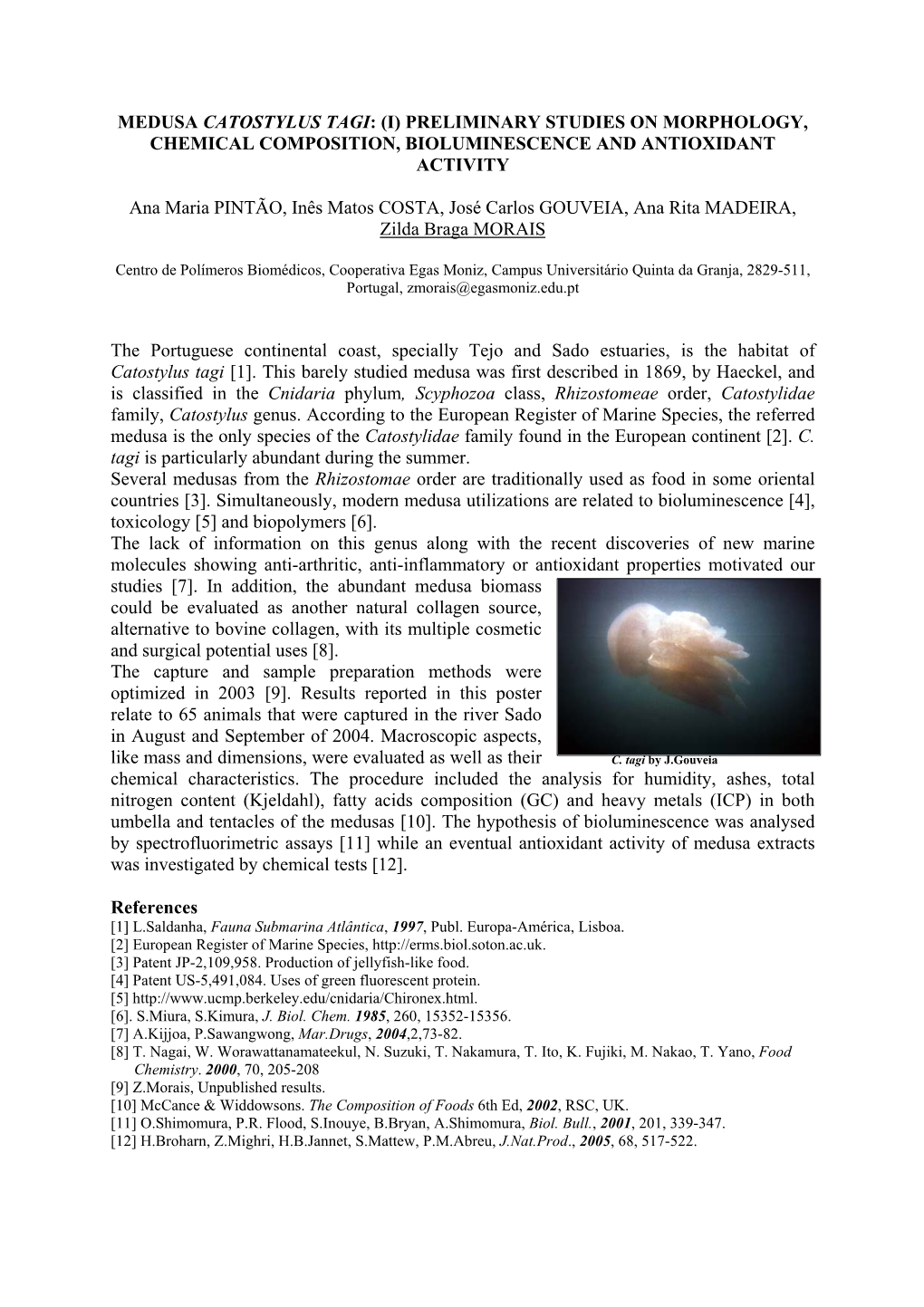 Medusa Catostylus Tagi: (I) Preliminary Studies on Morphology, Chemical Composition, Bioluminescence and Antioxidant Activity