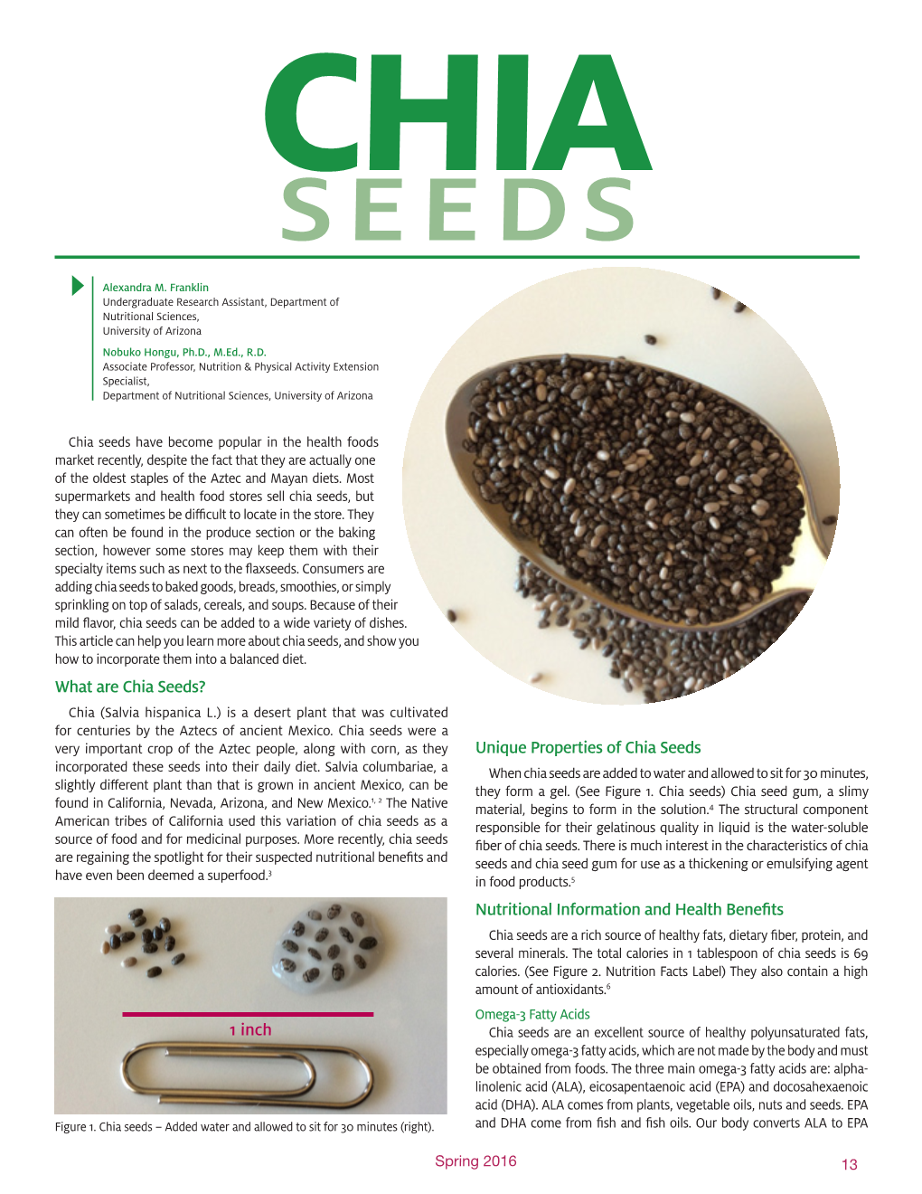 What Are Chia Seeds? Chia (Salvia Hispanica L.) Is a Desert Plant That Was Cultivated for Centuries by the Aztecs of Ancient Mexico