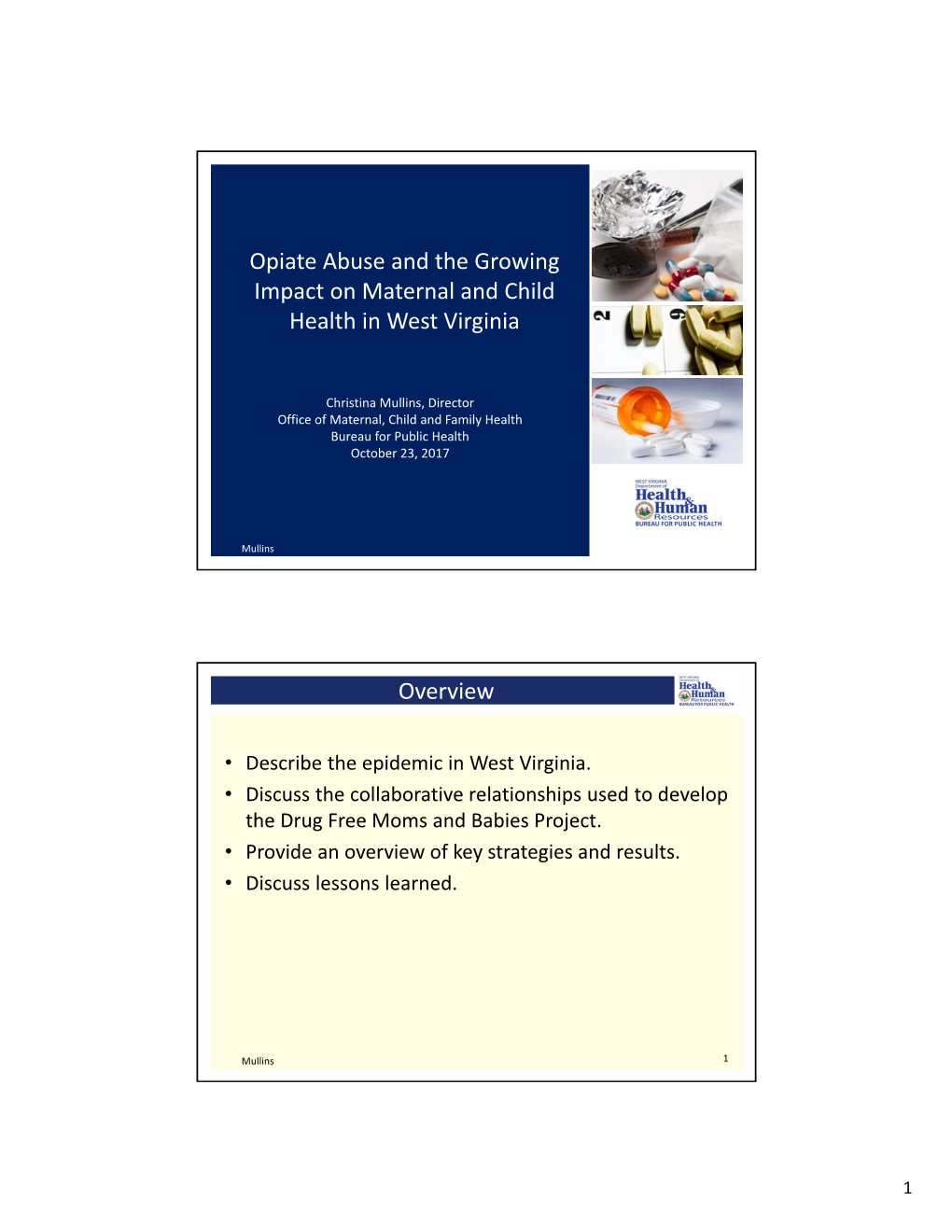 Opiate Abuse and the Growing Impact on Maternal and Child Health in West Virginia Overview