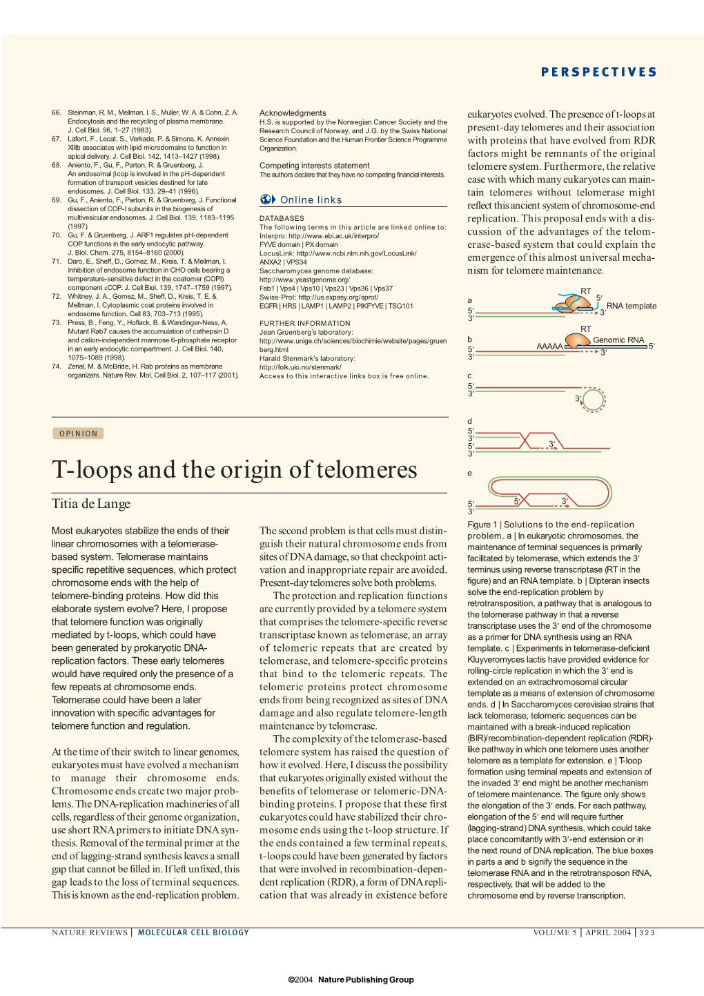 T-Loops and the Origin of Telomeres E