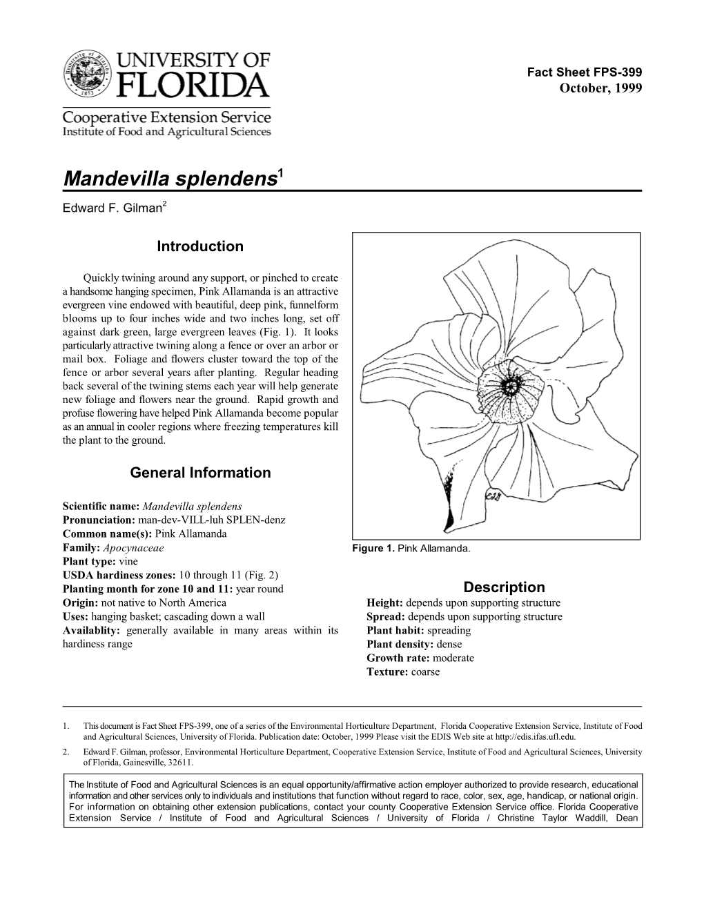 Mandevilla Splendens1