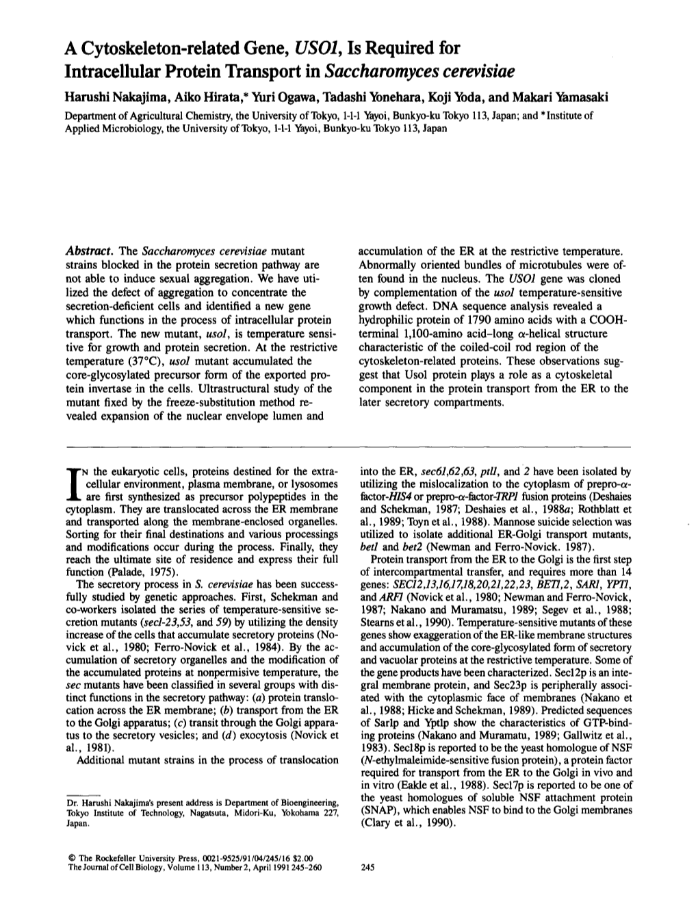 A Cytoskeleton-Related Gene, USO1, Is Required for Intracellular Protein