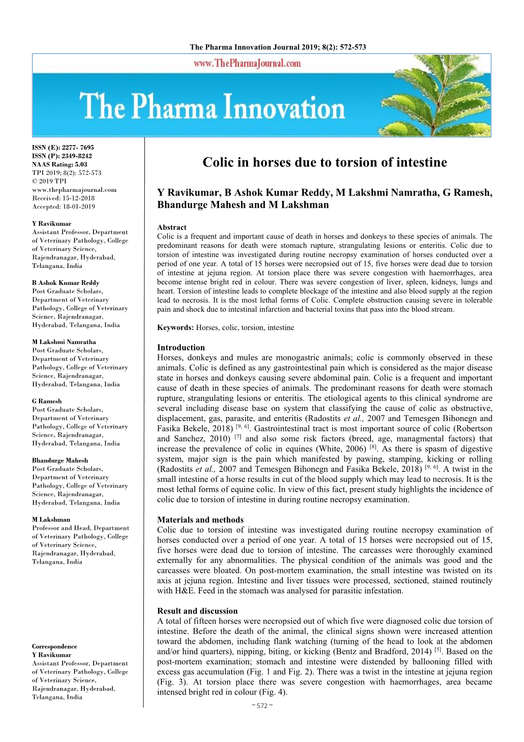 Colic in Horses Due to Torsion of Intestine