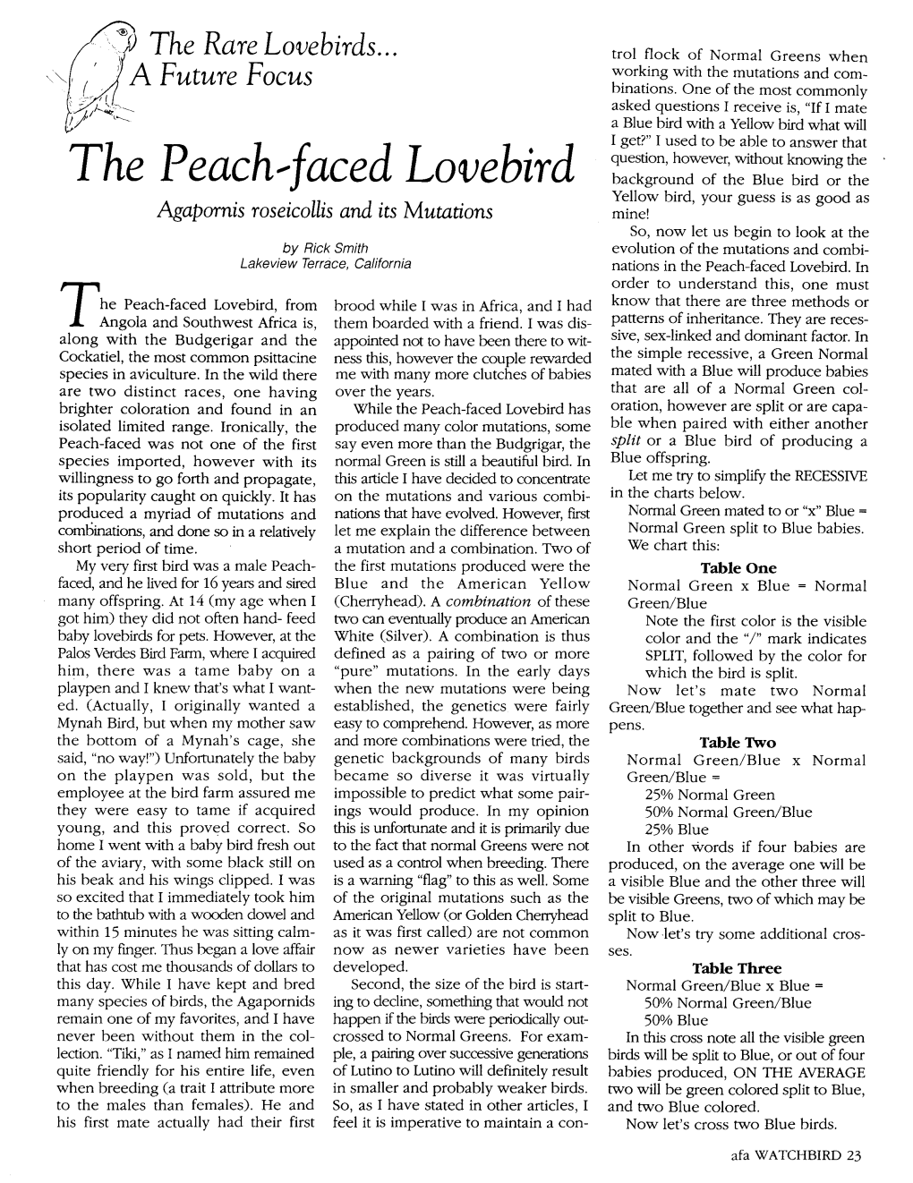 The Peach.-Faced Lovebird