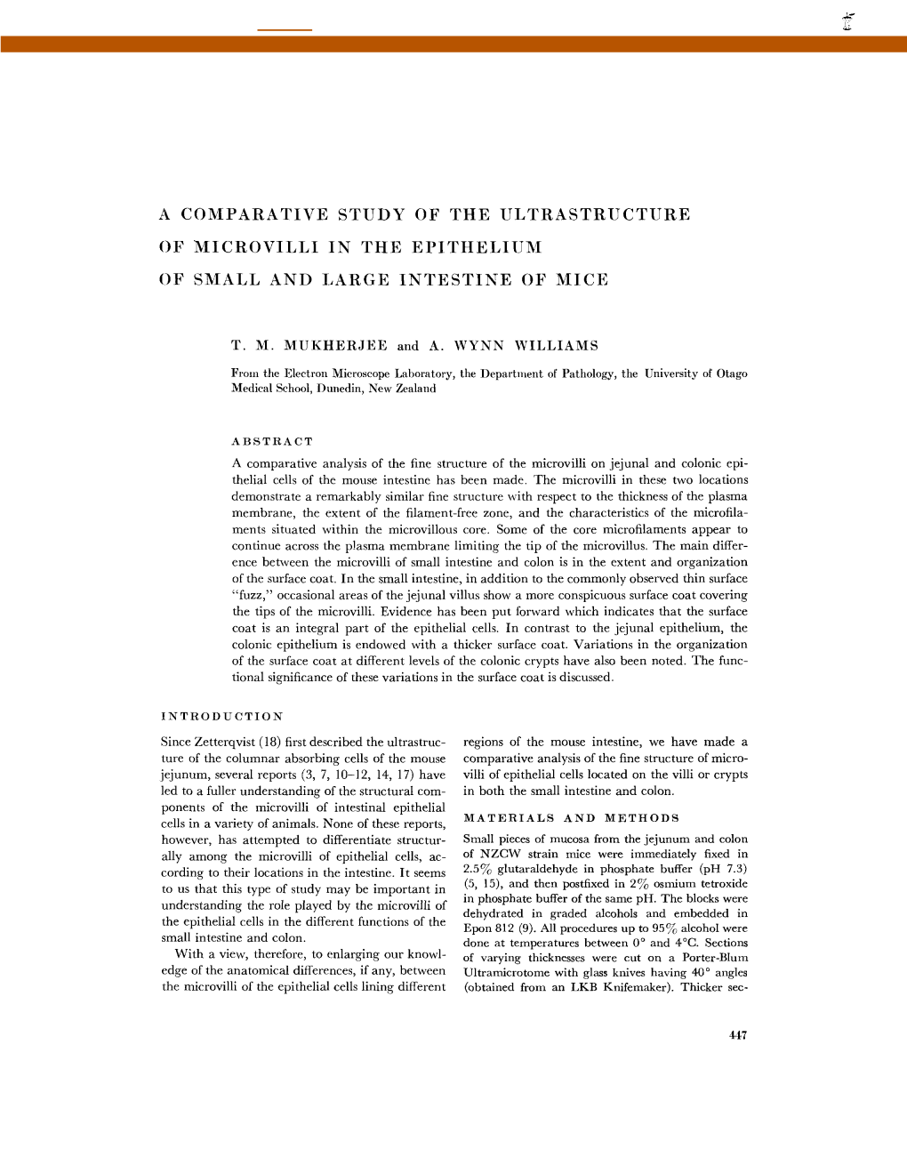 A Comparative Study of the Ultrastructure of Microvilli in the Epithelium of Small and Large Intestine of Mice