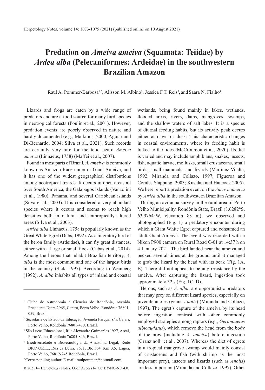 Predation on Ameiva Ameiva (Squamata: Teiidae) by Ardea Alba (Pelecaniformes: Ardeidae) in the Southwestern Brazilian Amazon