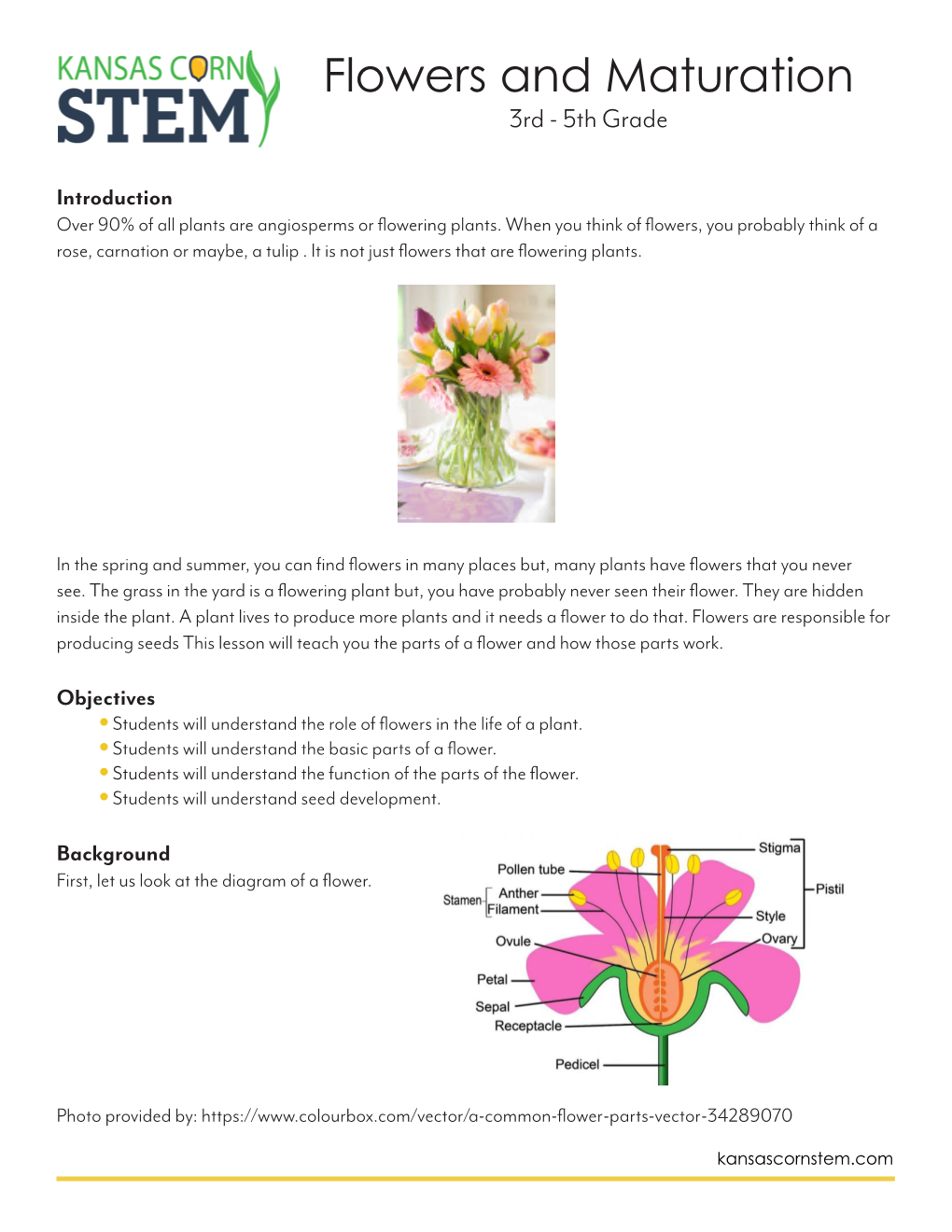 Flowers and Maturation 3Rd - 5Th Grade