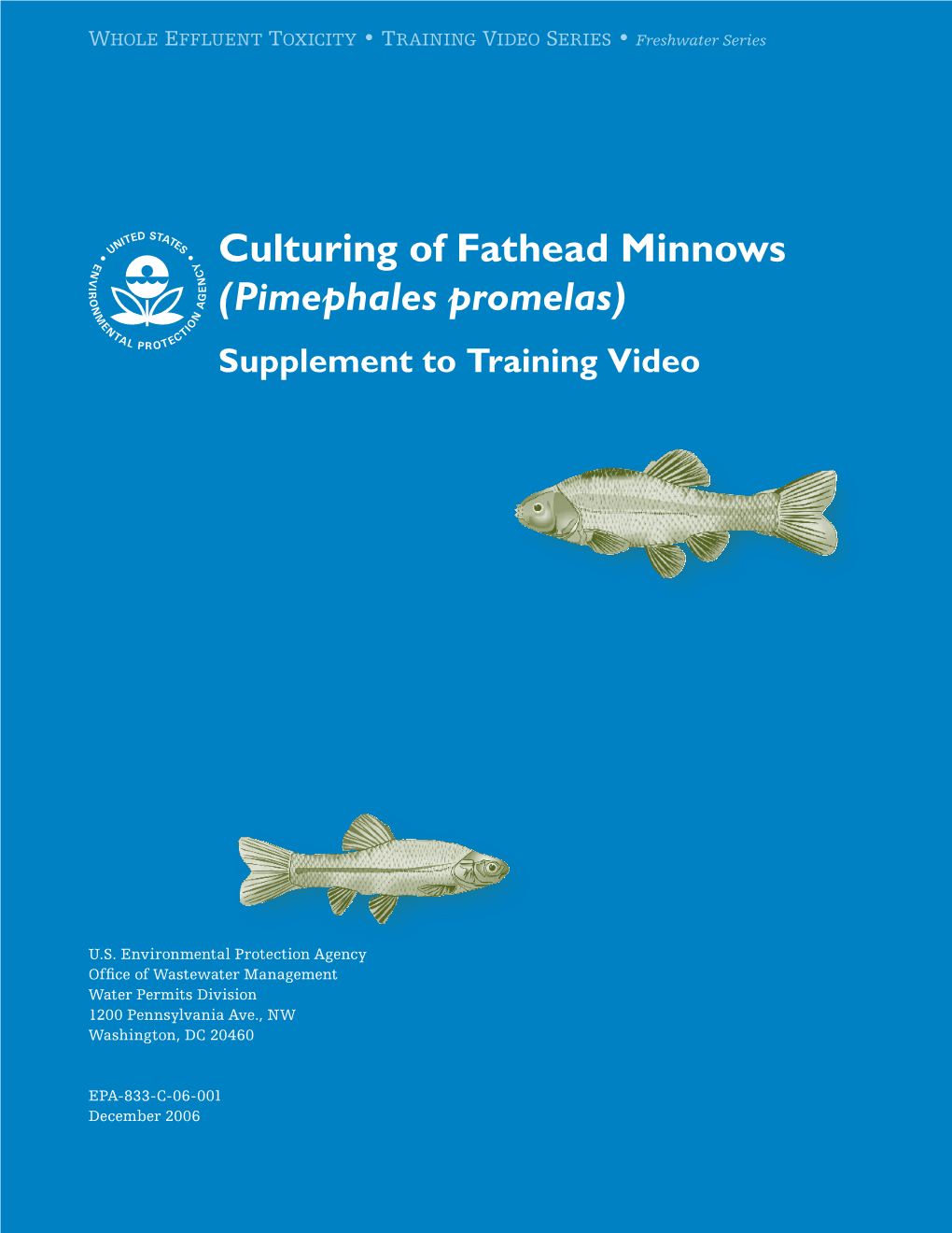 Culturing of Fathead Minnows (Pimephales Promelas) Supplement to Training Video