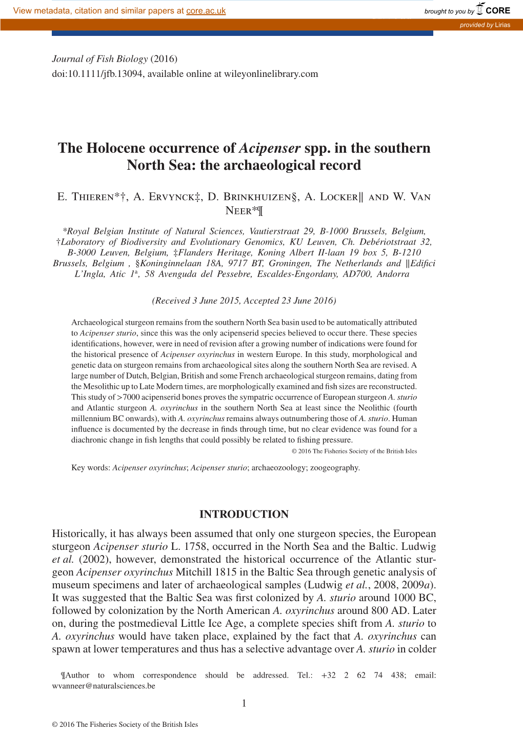 The Holocene Occurrence of Acipenser Spp. in the Southern North Sea: the Archaeological Record