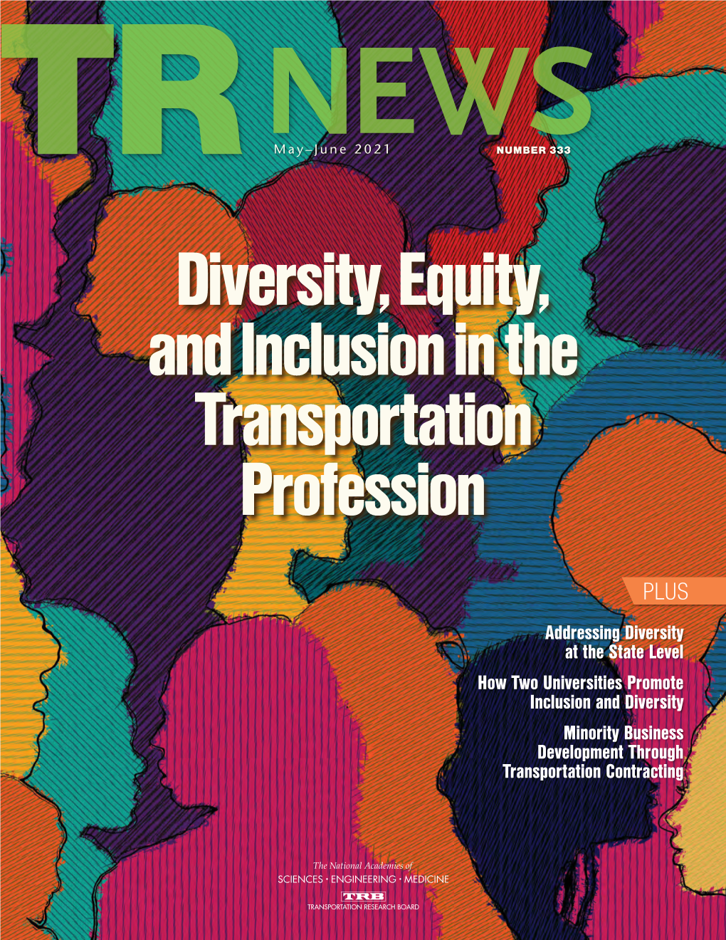 Diversity, Equity, and Inclusion in the Transportation Profession