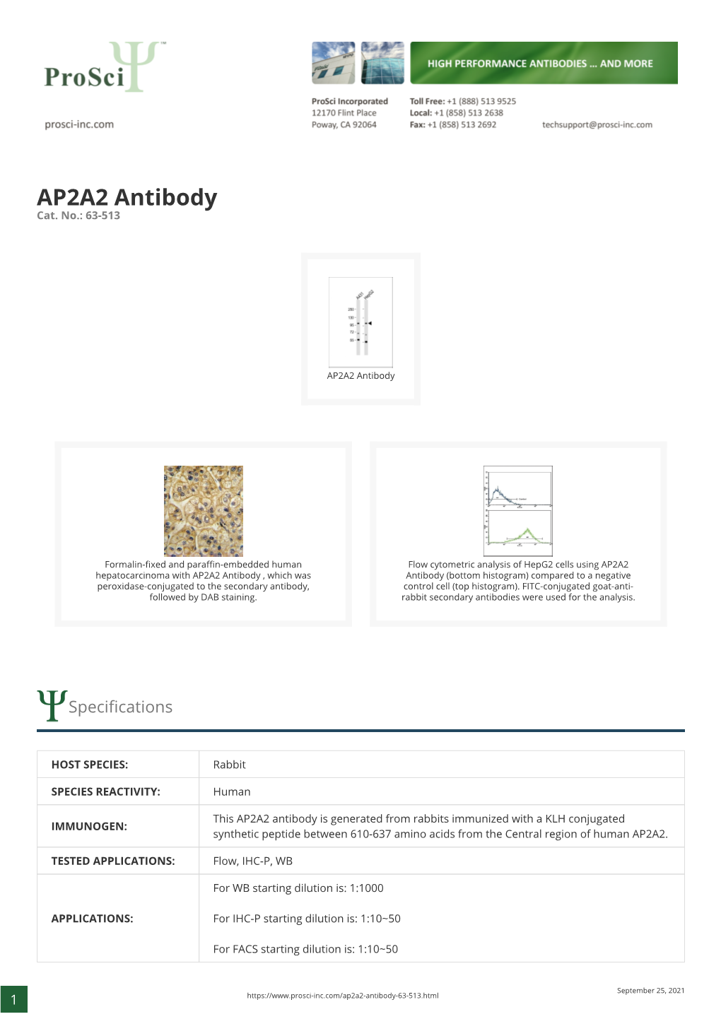 AP2A2 Antibody Cat