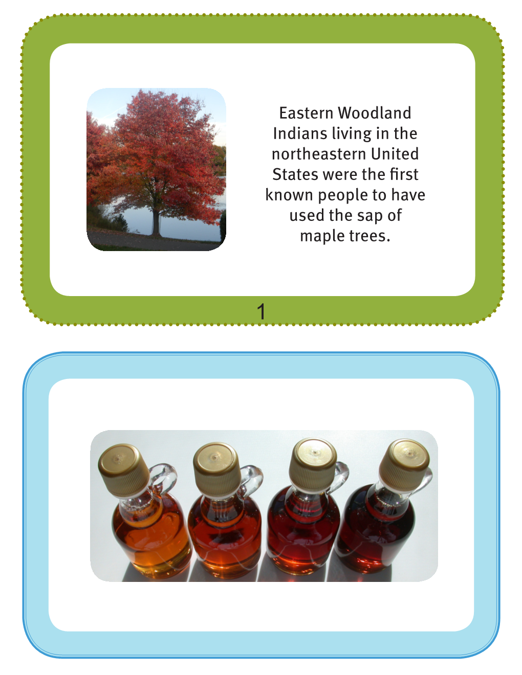 Eastern Woodland Indians Living in the Northeastern United States Were the First Known People to Have Used the Sap of Maple Trees