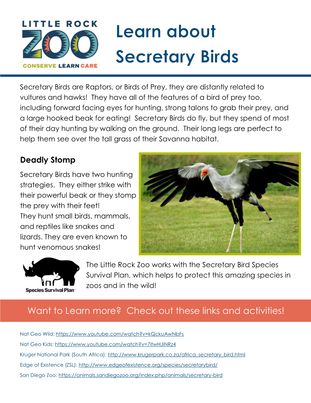 Secretary Bird