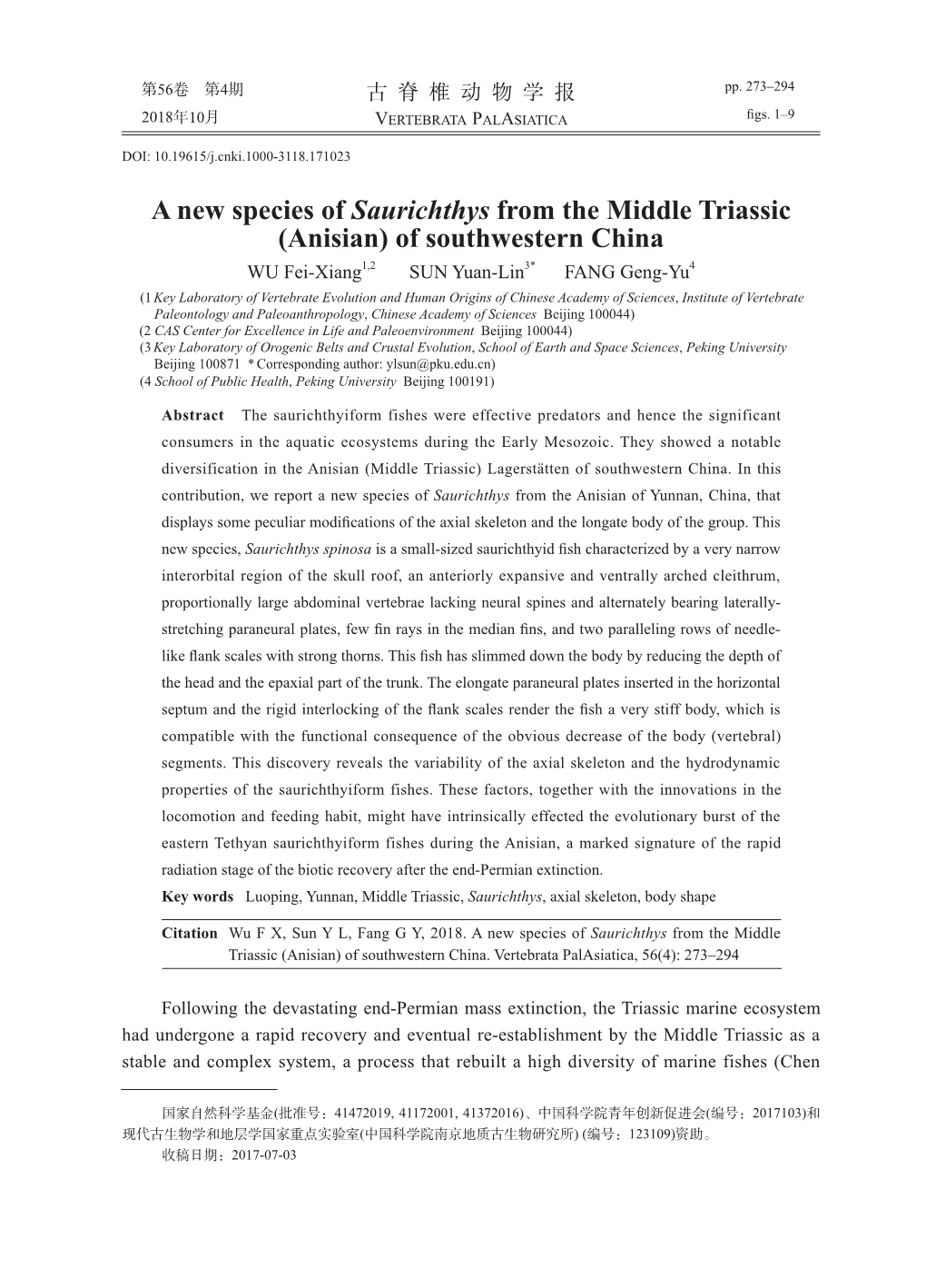 A New Species of Saurichthys from the Middle Triassic (Anisian)