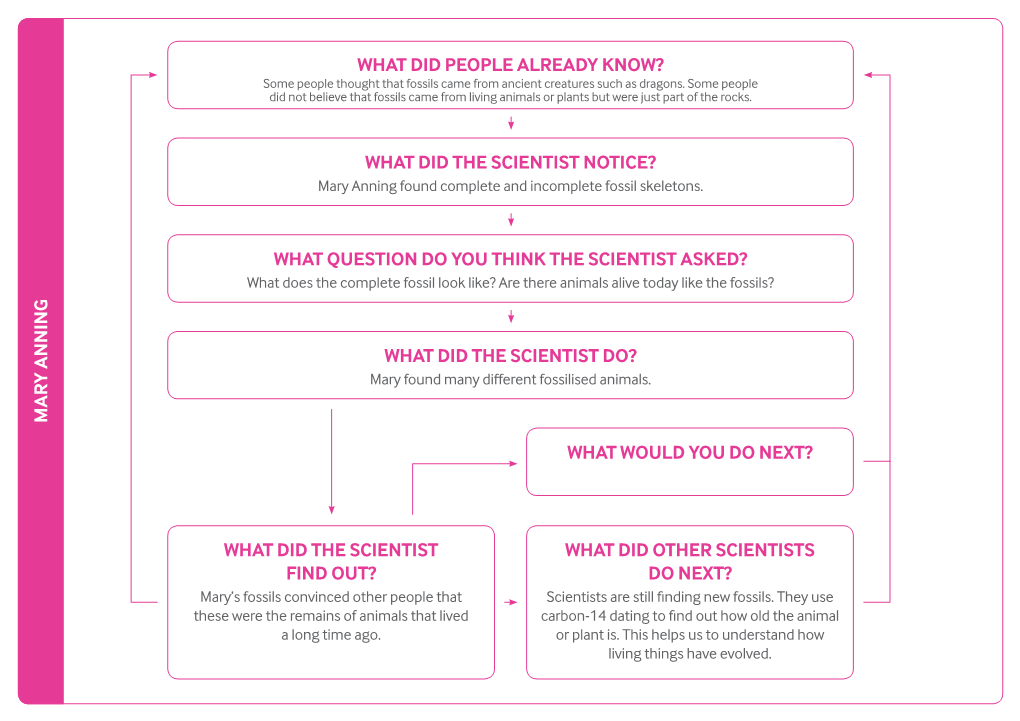 What Did the Scientist Notice? What Question Do You Think