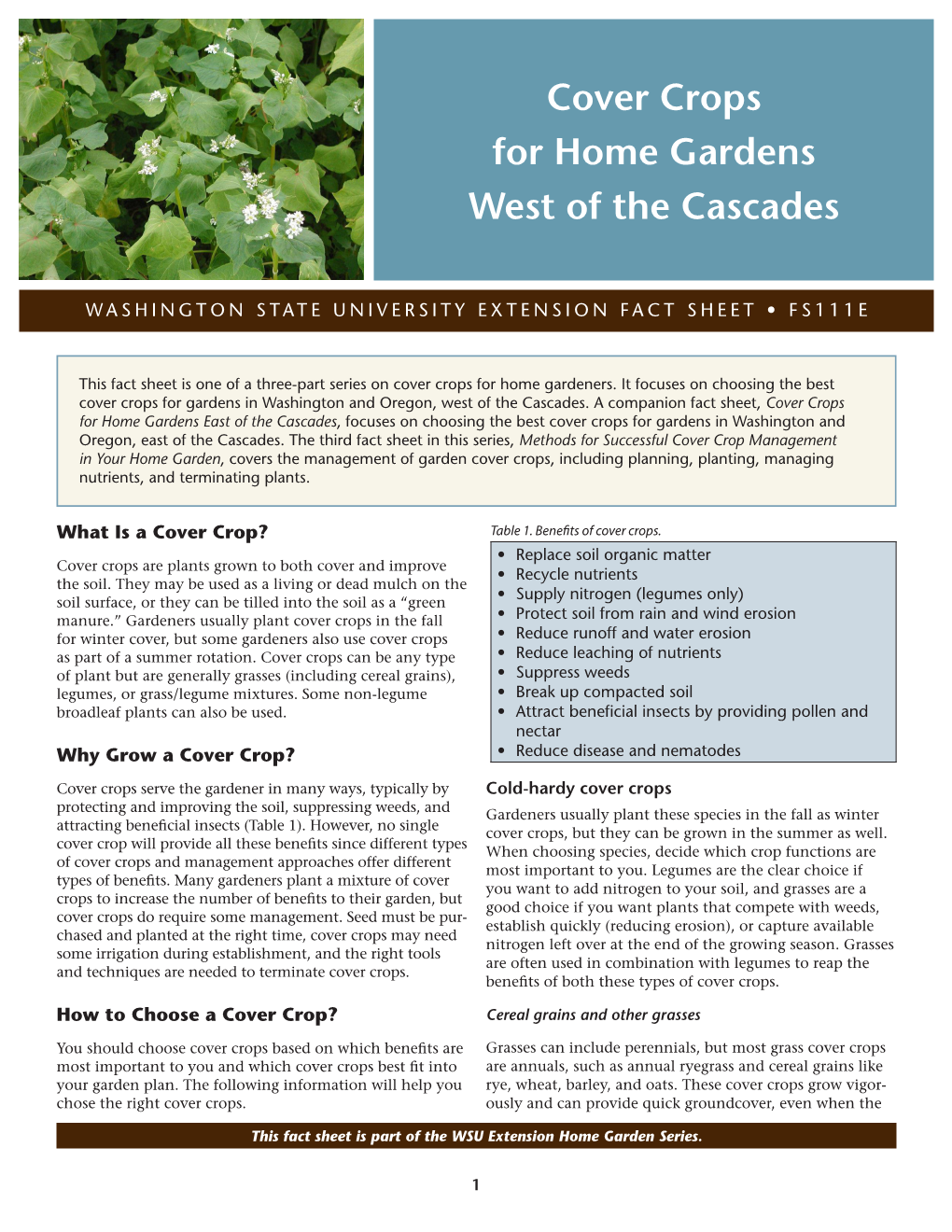 Cover Crops for Home Gardens West of the Cascades