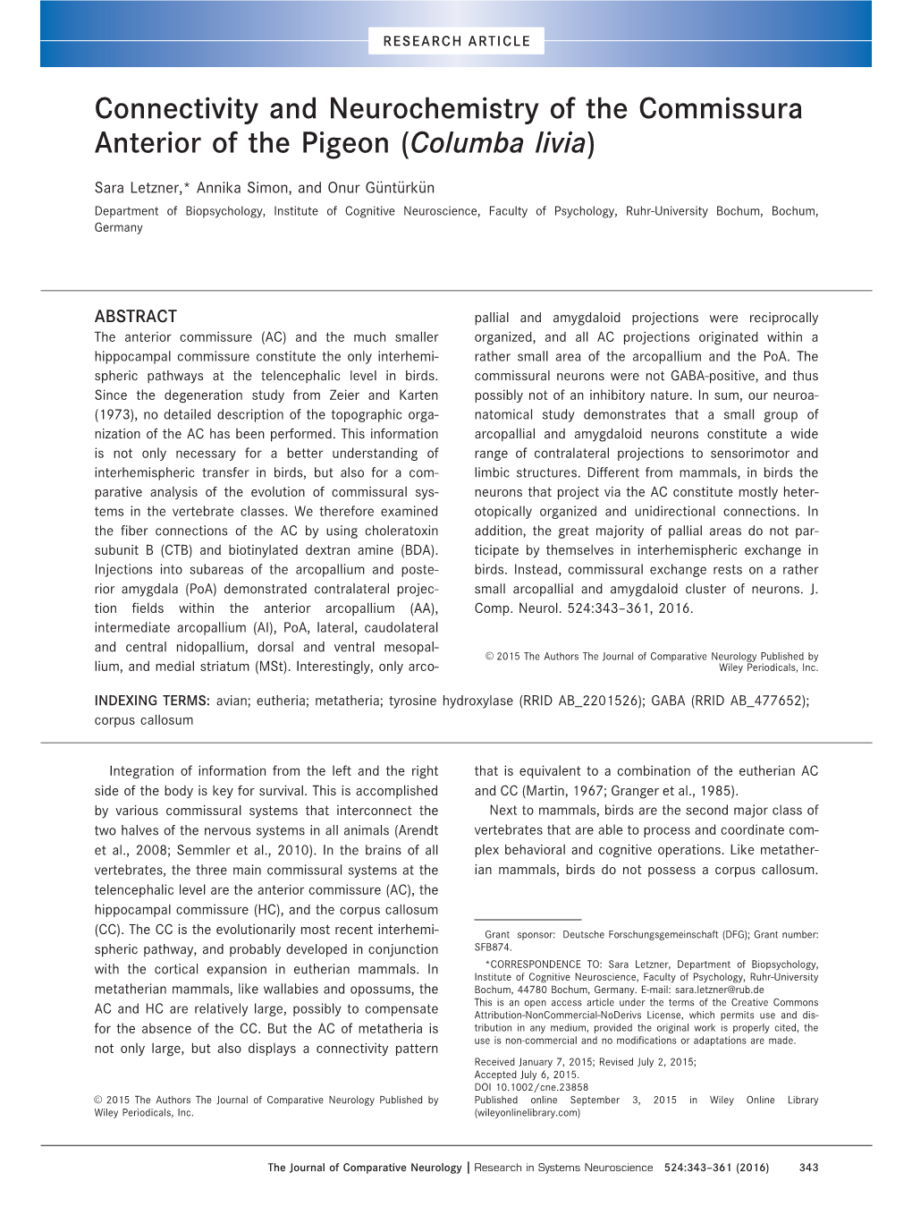 Connectivity and Neurochemistry of the Commissura Anterior of the Pigeon (Columba Livia)