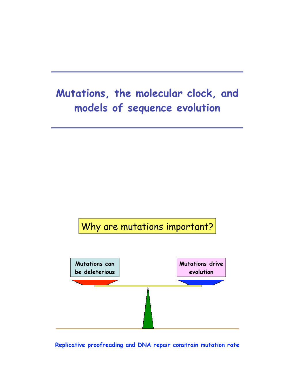 Mutations, the Molecular Clock, and Models of Sequence Evolution