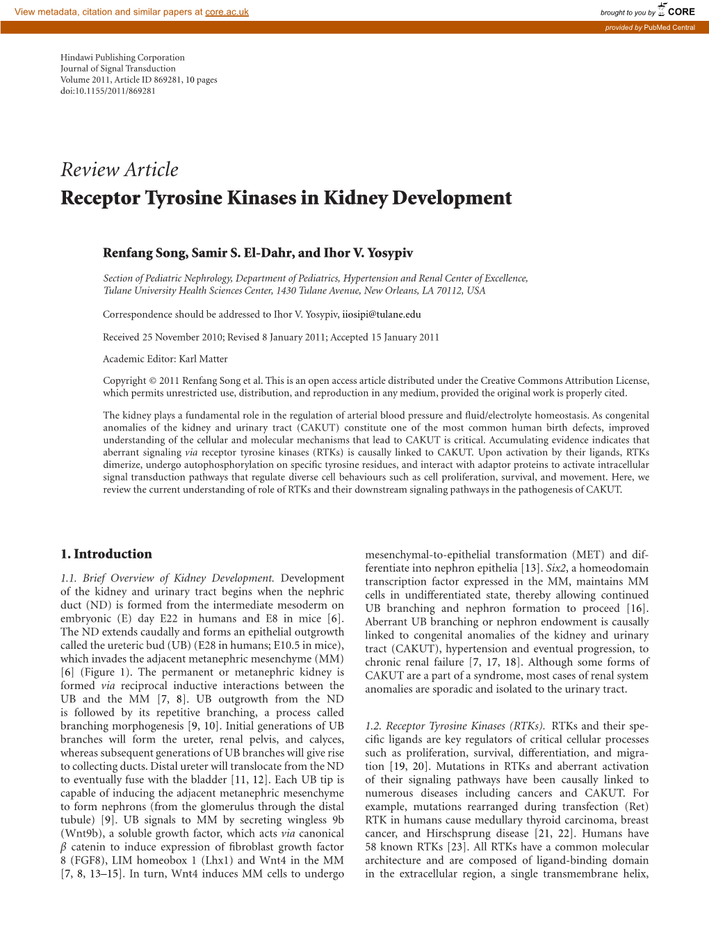 Review Article Receptor Tyrosine Kinases in Kidney Development