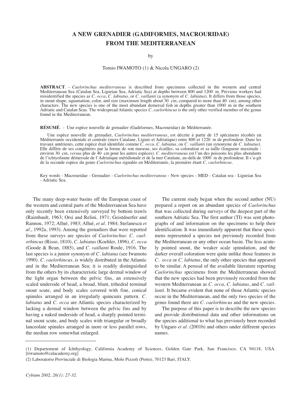 A New Grenadier (Gadiformes, Macrouridae) from the Mediterranean