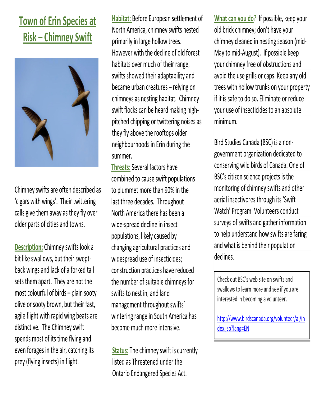 Town of Erin Species at Risk Chimney Swift