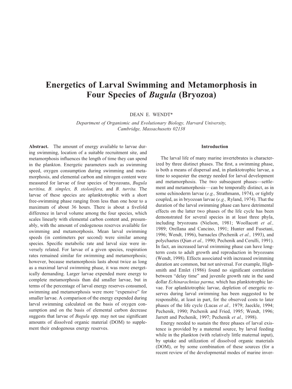 Energetics of Larval Swimming and Metamorphosis in Four Species of Bugula (Bryozoa)