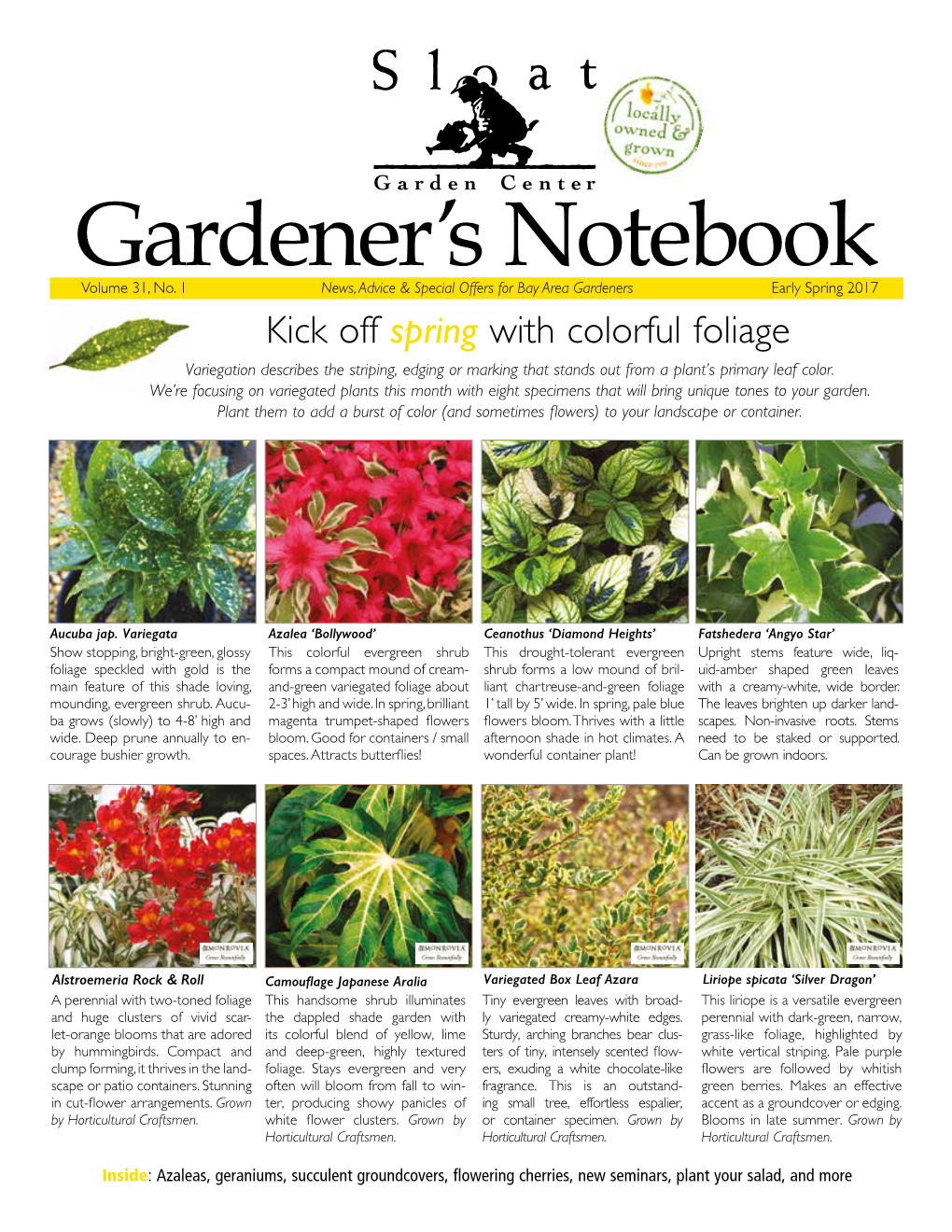 Kick Off Spring with Colorful Foliage Variegation Describes the Striping, Edging Or Marking That Stands out from a Plant’S Primary Leaf Color