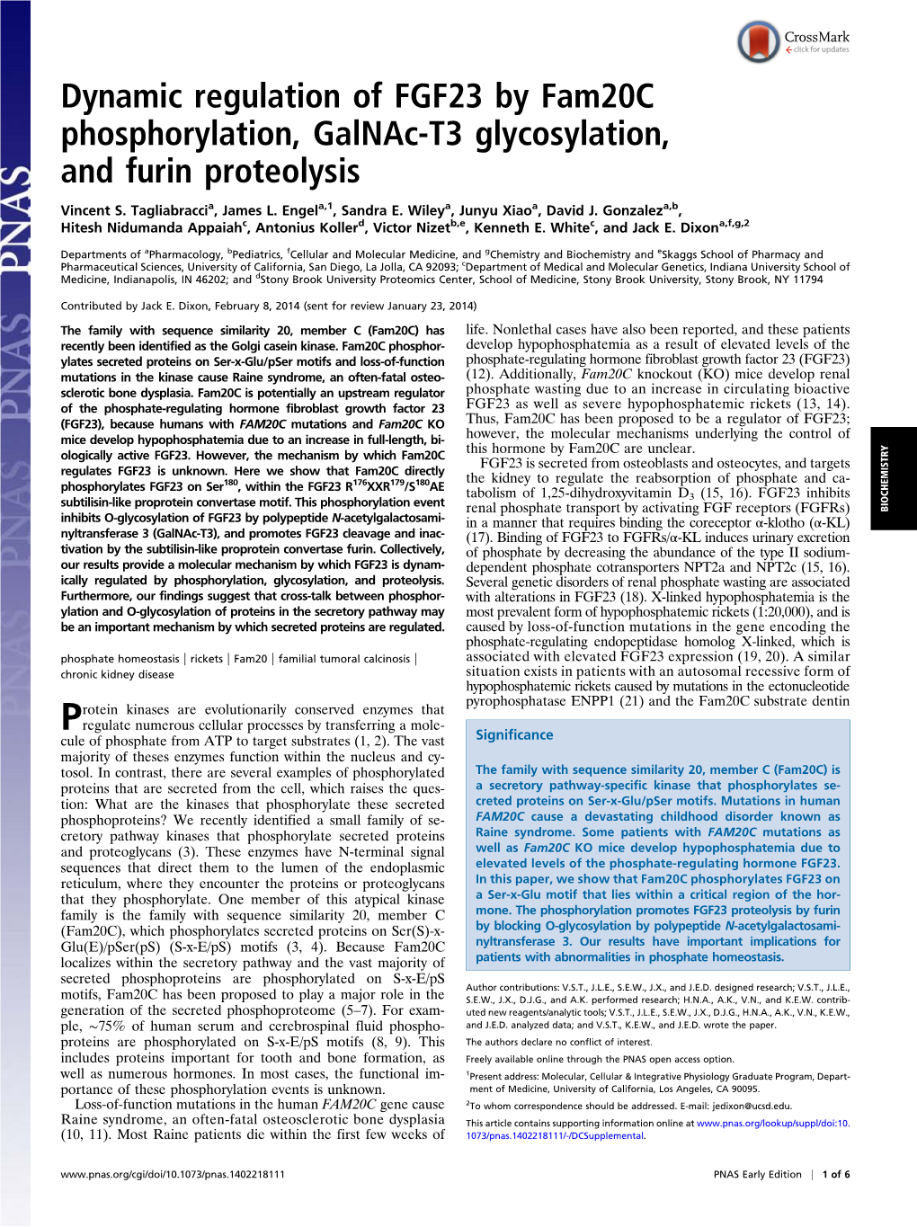 Dynamic Regulation of FGF23 by Fam20c Phosphorylation, Galnac-T3 Glycosylation, and Furin Proteolysis